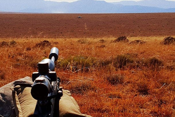 These plains are where Springbok, Blesbok, and Black Wildebeest are to be found. As a consequence, the plains game often need to be ambushed, and the endless anthills found out on these plains make for the right hiding place. These plains are where Springbok, Blesbok, and Black Wildebeest are to be found.