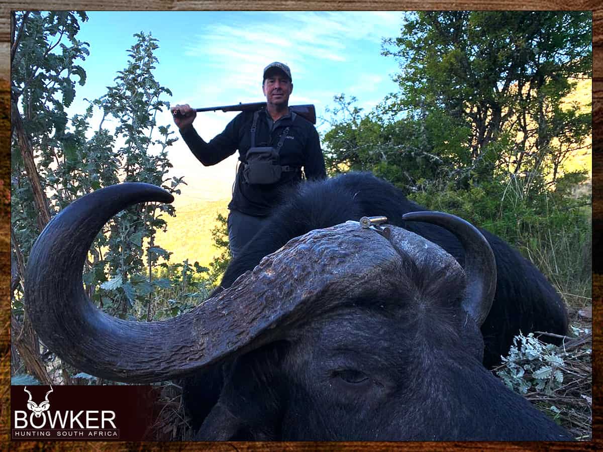 African hunting safari with Nick Bowker. Cape Buffalo Hunts