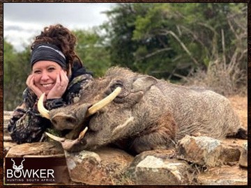 African hunting safari with Nick Bowker. Warthog.