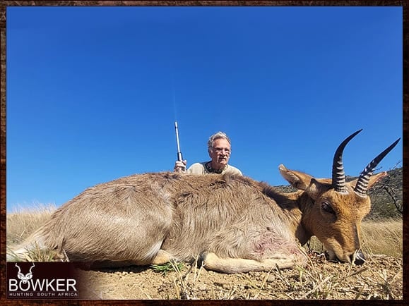 African mountain reedbuck hunt.