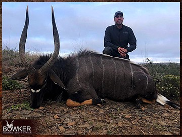 African nyala hunt with Nick Bowker.