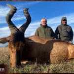 African red hartebeest hunt with Nick Bowker.
