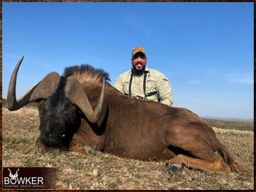 African safari black wildebeest hunt with Nick Bowker.