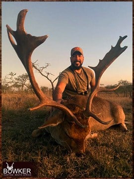 African safari fallow deer hunt with Nick Bowker.