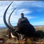 African safari sable antelope hunt with Nick Bowker