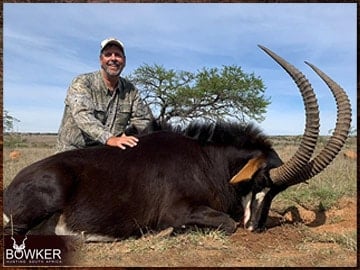 Africa hunting. Sable antelope hunt with Nick bowker.