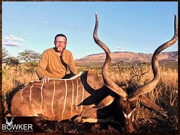 African safari kudu hunt.