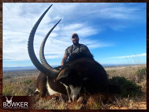African safari sable antelope hunt with Nick Bowker.