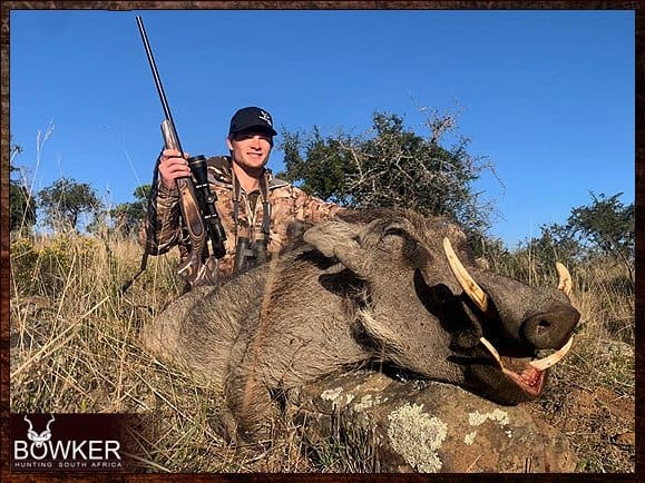 Warthog trophy hunts are included in nearly all our hunting packages