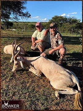 African white blesbok safari hunting.
