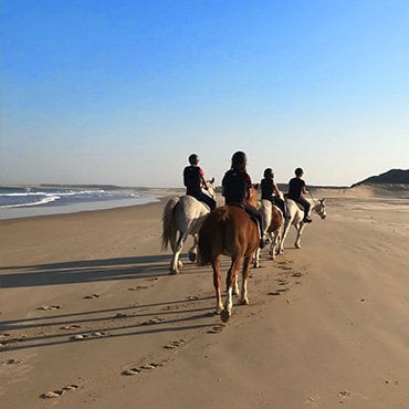 Enjoy beach horse riding while hunting in South Africa.