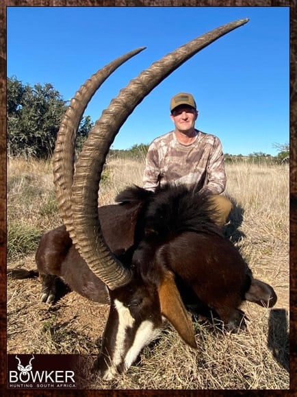 Best African hunting rifle for sable antelope.