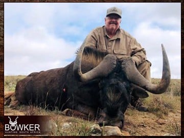Black Wildebeest trophy taken with Nick Bowker in South Africa.