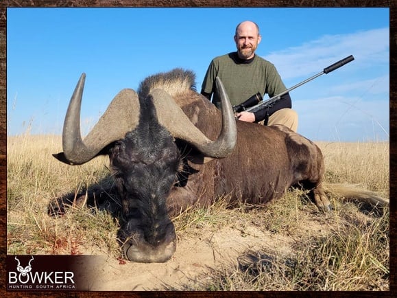 Black wildebeest safari style hunting in Africa with Nick Bowker.
