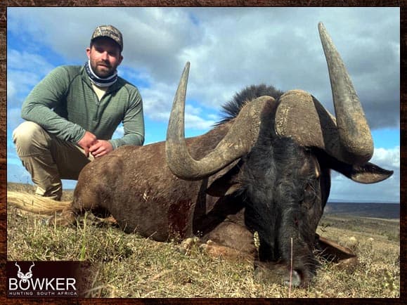 Hunting Black Wildebeest in South Africa