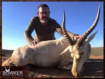 Blesbok trophy in a client 7 animal 8-day African trophy hunt.