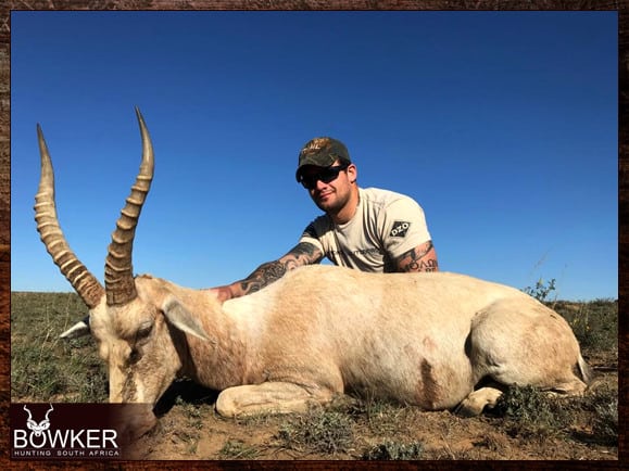 White Blesbok hunting