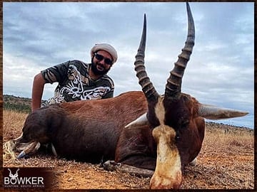 Blesbok hunting in Africa.