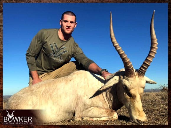 Hunting Blesbok n South Africa