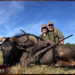 Blue Wildebeest trophy hunting in South Africa.