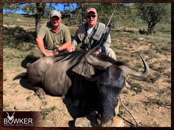 Blue Wildebeest trophy shot with Nick Bowker Hunting