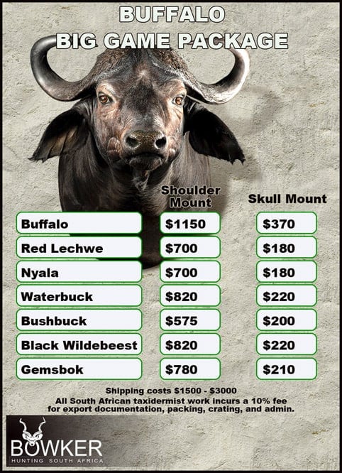 Taxidermy cost for Cape Buffalo Big game package.