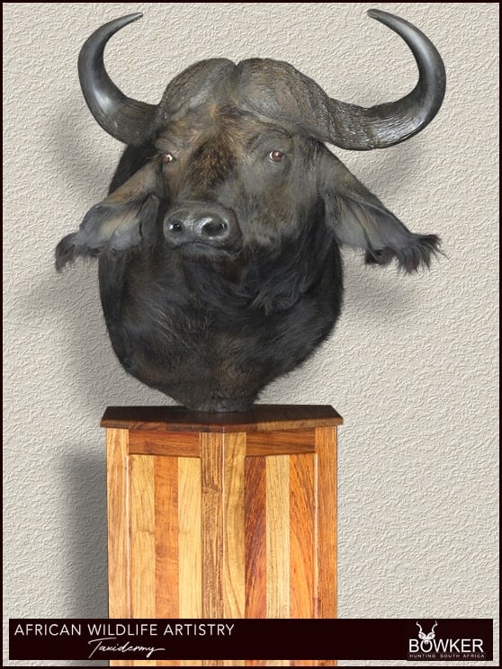 buffalo pedestal mount 1