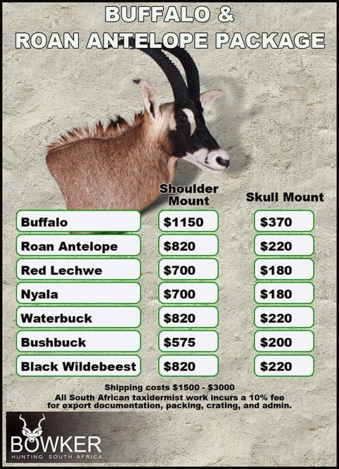 Taxidermy cost for Cape Buffalo and Roan package.