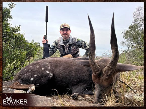 Best hunting safari in Africa for Bushbuck