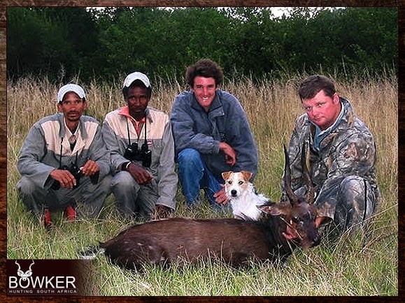 Bushbuck hunt with dog