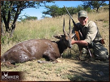 Bushbuck trophy hunted in the Eastern Cape South Africa.