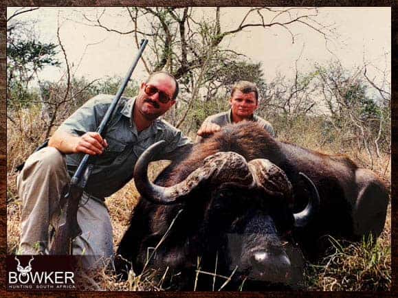 Cape Buffalo trophy. Cape Buffalo are considered dangerous game.