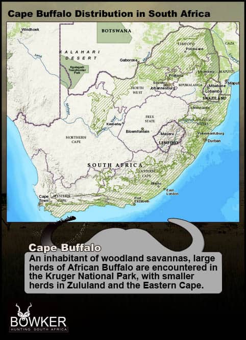 Cape Buffalo distribution across southern Africa 
