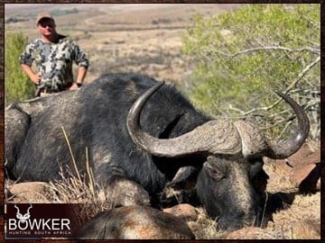 Cape buffalo hunting package and prices.