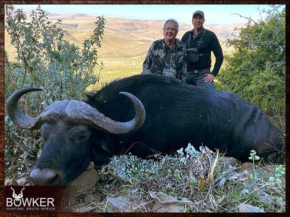 Cape buffalo hunting safari.