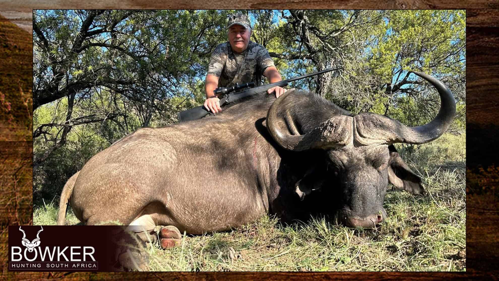 Cape Buffalo hunts with Nick Bowker