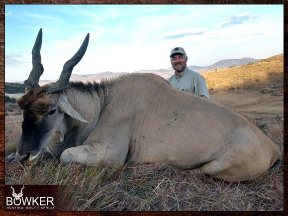 Cape Eland hunting with Nick Bowker