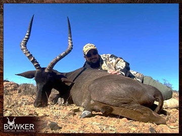 Client with a black impala on a plains animal hunt in South Africa.