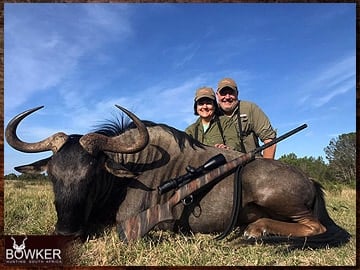 Client with a Blue wildebeest shot on a typical safari style African plains game hunt.