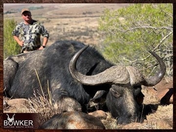 Client with a Cape Buffalo on a dangerous game hunt.