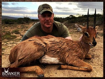 Client steenbok trophy taken on an African safari style hunting trip.