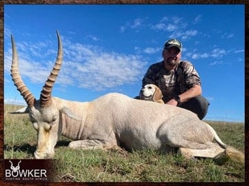 Client with a white blesbok on a plains animal hunt in South Africa.