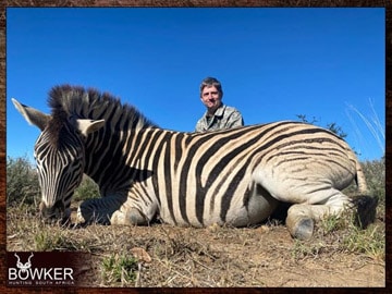 Client with a Zebra another typical African plains animal.