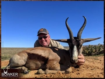 Copper springbok hunting in South Africa.