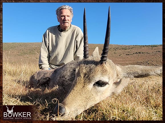 Difference between a mountain reedbuck and a grey rhebok. and 