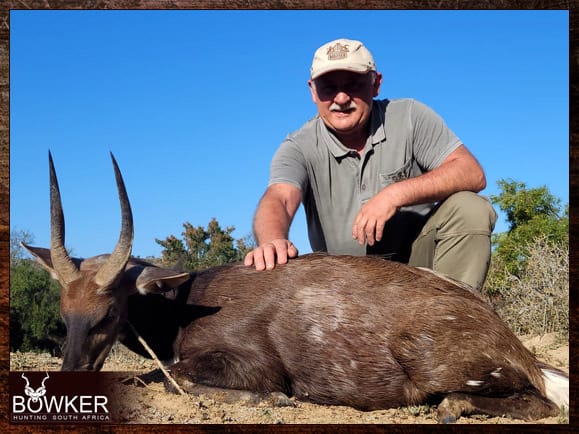 Discount african bushbuck hunt safari with Nick bowker.