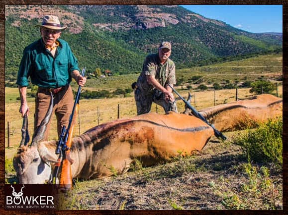 Eland trophies shot in the Eastern cape South Africa