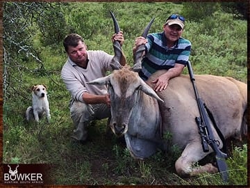 Eland trophy hunting in South Africa.
