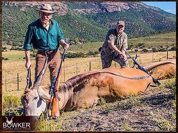 Eland trophy hunting in South Africa.