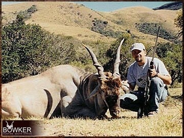 Eland trophy hunted in the Eastern Cape South Africa.